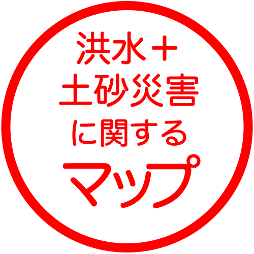 洪水+土砂災害