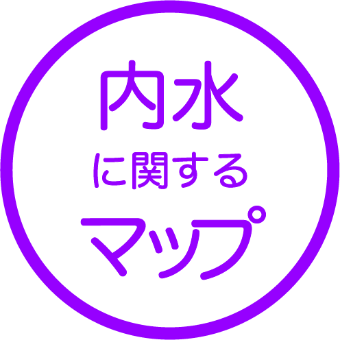 内水