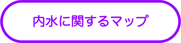 内水