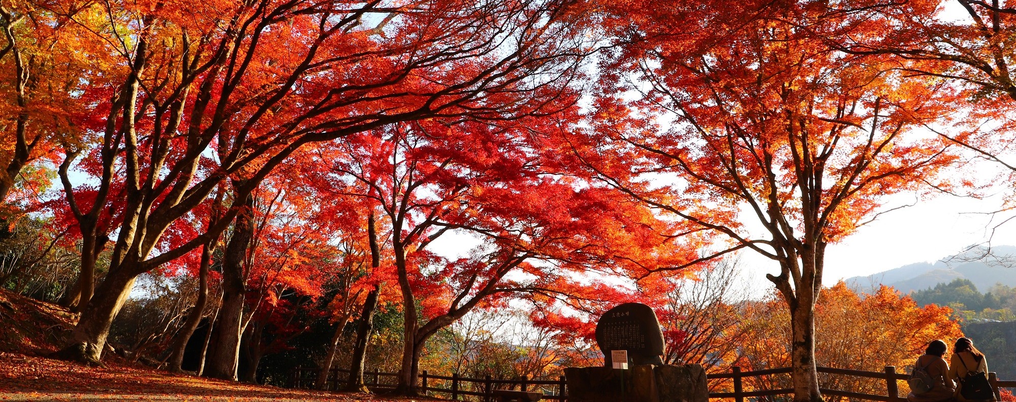 スライドショー画像（尾関山公園紅葉）