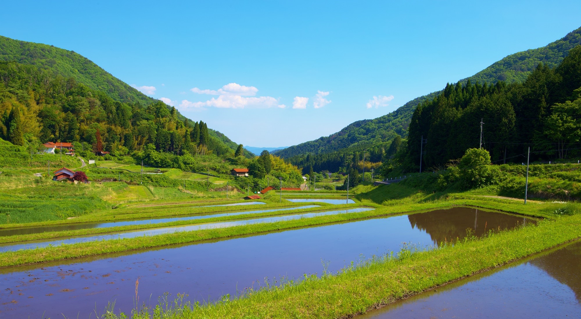 棚田の写真