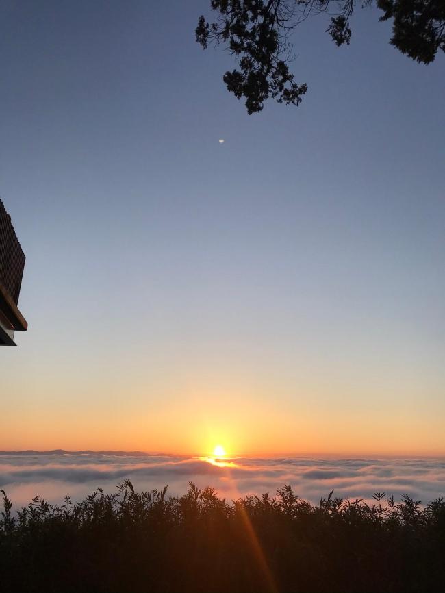 高谷山霧の海展望台