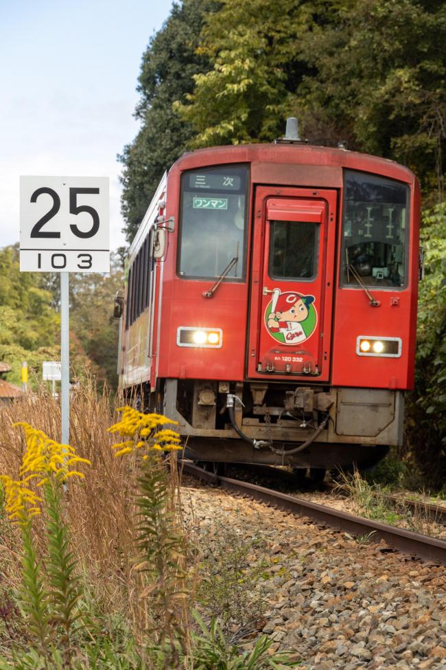 新しい「25」の看板とカープラッピング列車