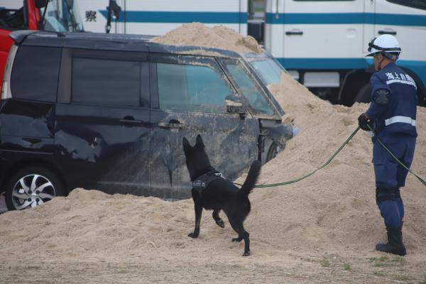 海上自衛隊警備犬による捜索