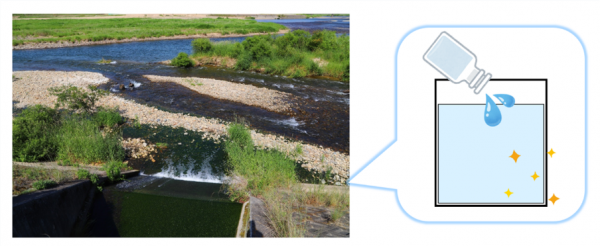 放流口の写真とイラスト