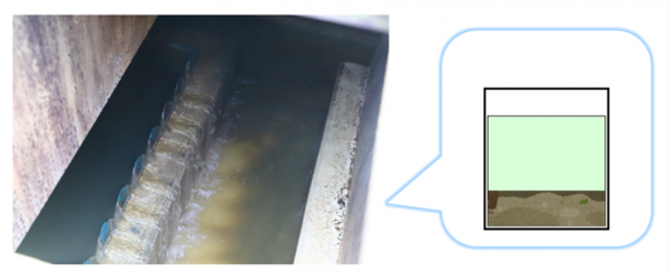 最初沈殿池の写真とイラスト