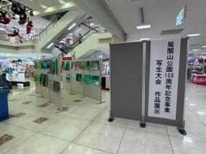 サングリーン展示①