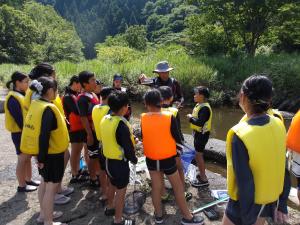 水辺の生物観察