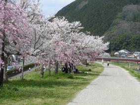 イメージ画像（旭町公園）の画像