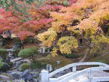 尾関山紅葉写真