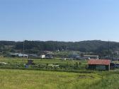 福田農園の画像