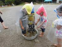 保育所の7月の画像1