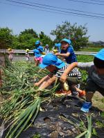 保育所の6月の画像2