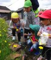 保育所の4月の画像1