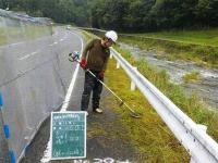 道路の草刈りの画像2