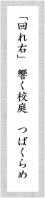 石垣七桜さん俳句作品「回れ右　響く校庭　つばくらめ」