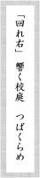 石垣七桜さん俳句作品「回れ右　響く校庭　つばくらめ」