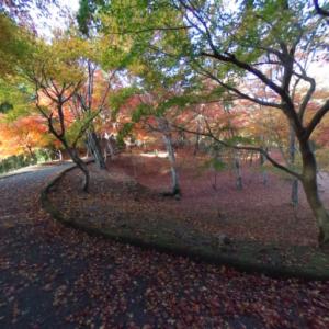 尾関山公園の紅葉の画像