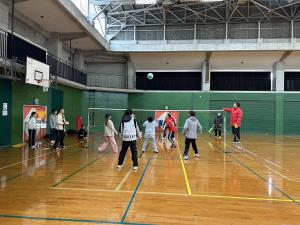 ビーチボールバレー