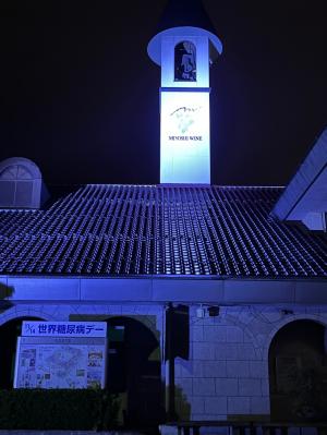 世界糖尿病デー ライトアップ