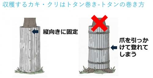 トタン巻き